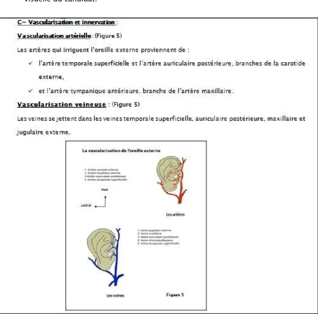 Figure 3 : Aperçu d’une partie  du texte avec les images intégrées 