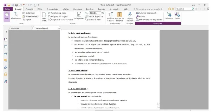 Figure 4 : Aperçu du logiciel Foxit PhantomPdf 