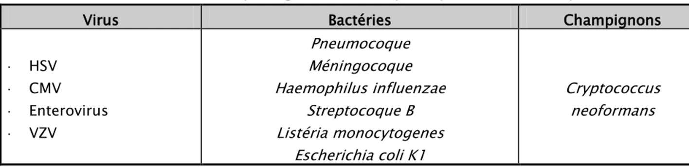 Tableau III : les pathogènes détectés par le panel ME FilmArray 