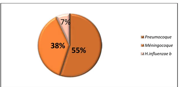 Figure 4:Distribution selon les espèces des infections invasives ( n = 248 ) 