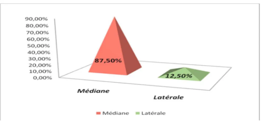 Figure 9 : types d’incisions choisies lors de la chirurgie par voie transpéritonéale  1.3