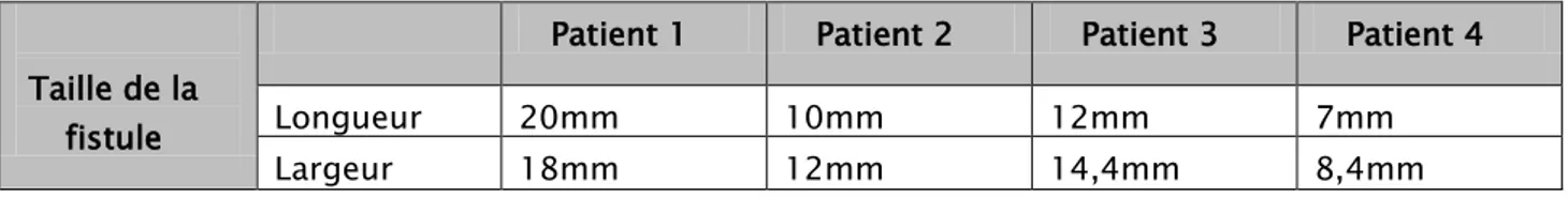 Tableau III : Tableau décrivant la taille des fistules en fonction des patients 