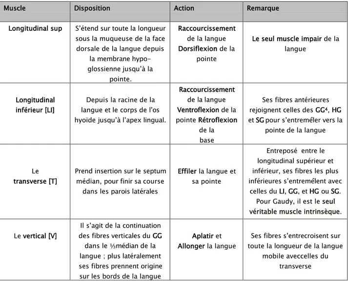 Figure 15 les muscles intrinsèques de langue