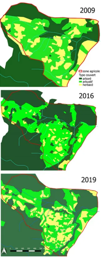 Fig. 4. Changement de physionomie d’occupation des terres entre 2009, 2016 et 2019 ( Rakotoarisoa et al., 2016 ; auteurs).