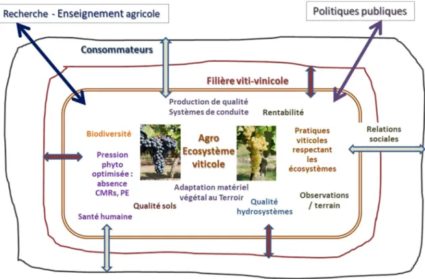 Fig. 6. Synthesis of agroecology in viticulture (F. Macary).