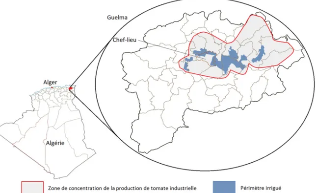 Fig. 1. Localisation de la région d’étude et de la zone de production de tomate industrielle