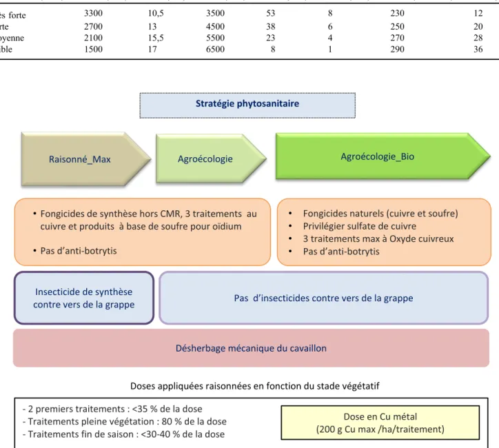 Fig. 3. Construction des trois scénarios d’évolution des modes de conduite : stratégie phytosanitaire