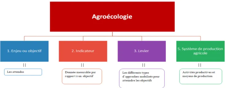 Fig. 3. Structure niveau 1 du thésaurus AE. Fig. 3. Level 1 structure of the AE thesaurus.