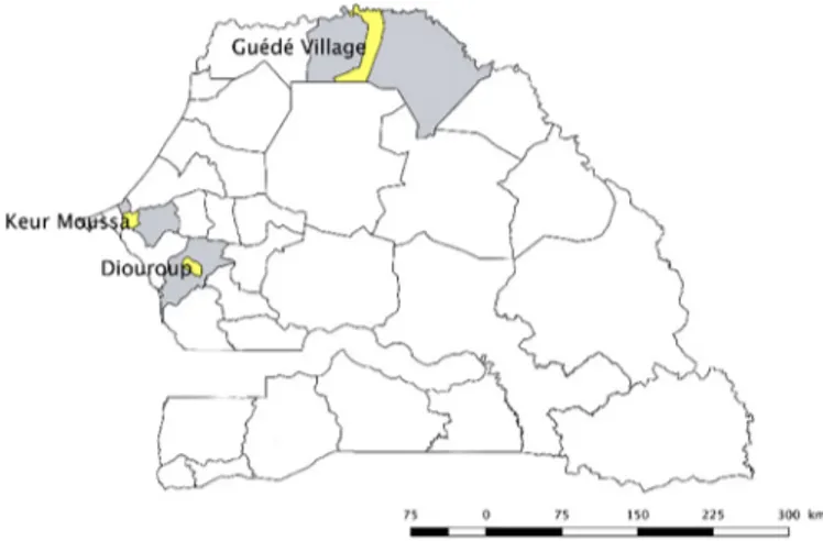 Fig. 1. Localisation des trois zones d’études au Sénégal (en gris). Fig. 1. Location of the three study areas in Senegal (grey).