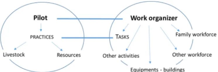 Fig. 4. The two sides of the functioning of a livestock farming system: livestock and resource management, and work organization (from