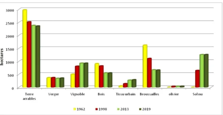 Fig. 4. Répartition des différents éléments d’occupation du sol entre 1962 et 2019. Fig