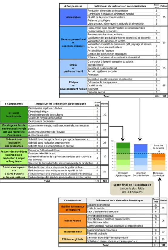 Fig. 3. Grille évaluative IDEA v4 – approche par les 3 dimensions de la durabilité. Fig