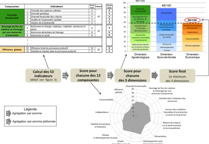 Fig. 4. Example of evaluation of the ﬁnal sustainability level for a farm (according to the 3 dimensions of sustainability).