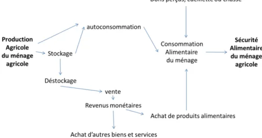 Fig. 1. Schéma simpliﬁé des liens de la production vers la sécurité alimentaire dans les exploitations agricoles