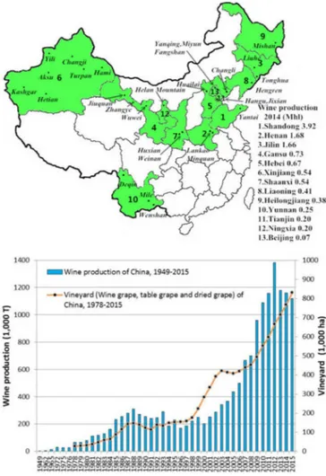 Fig. 1. Main wine regions and wine production in China.