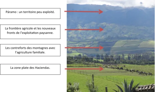 Fig. 3. Étages écologiques et paysage dans les cantons de Montufar et Huaca. Source : auteurs