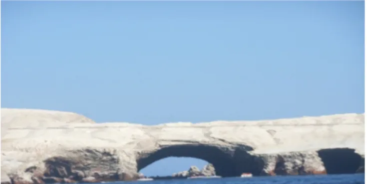 Fig. 3. Coastal desert in Peru with guano deposits attesting the richness of local marine biodiversity.