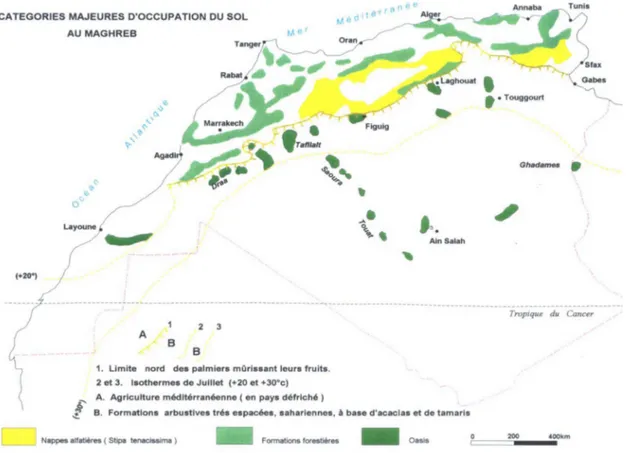 Fig. 11. Dans le ksar comme en médina (ville, ici, la médina de Meknès), l ’habitat comme les systèmes d’irrigation sont des structures adaptées, savamment construites, et dûment collectives