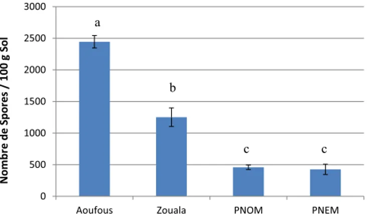 Fig. 2. Nombre de spores extraites de sols des palmeraies prospectées. Les valeurs suivies de la même lettre ne sont pas signiﬁcativement différentes P &lt; 0,05 (test de Newman et Keuls)