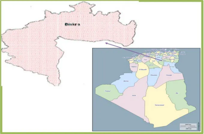 Fig. 2. Position du patrimoine phoenicicole de Biskra en 2015. Fig. 2. Position of the trees date palm of Biskra in 2015.Fig