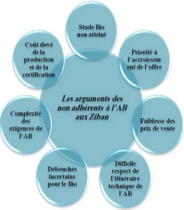 Fig. 5. Les arguments des non-adhérents à l’AB au Ziban. Fig. 5. The arguments of non-practitioners in organic dates at Ziban.