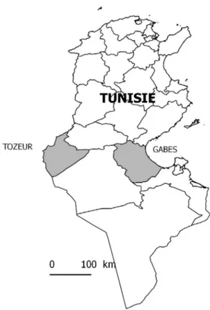 Fig. 1. Tozeur et Gabès, dans le Sud de la Tunisie. Fig. 1. Tozeur and Gabès, in southern Tunisia.