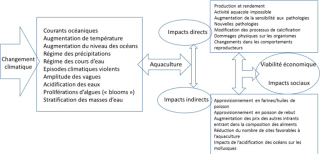 Fig. 1. Représentation schématique des impacts potentiels du changement climatique sur l’aquaculture et les différentes formes de leur manifestation (d ’après De Silva, 2012).