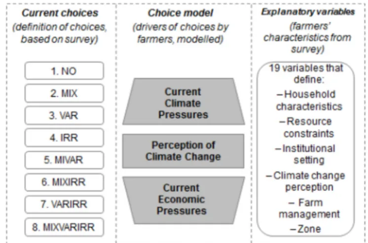 Fig. 1. Proposed framework for analysing farmers’ adoption of innovation strategies.