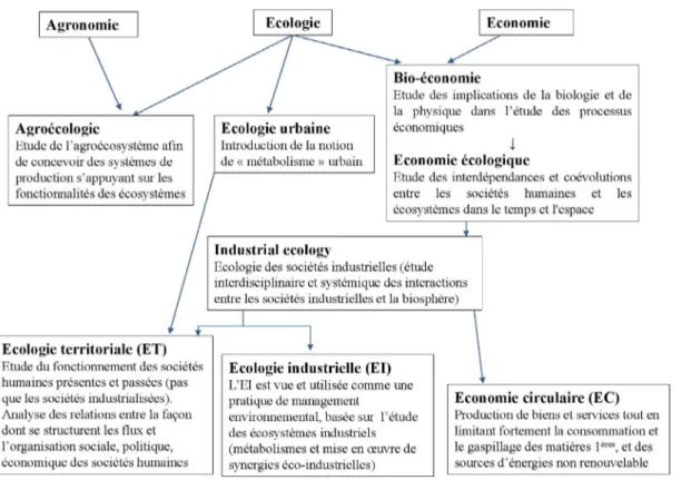 Fig. 1. Représentation schématique des ﬁliations entre les notions cherchant à relier économie et écologie des activités humaines.