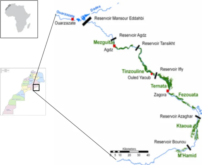 Fig. 1. Localisation géographique de la région d’étude. Fig. 1. Localization of the study sites in Morocco.