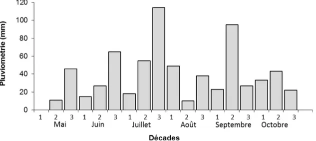 Fig. 2. Pluviométrie décadaire sur le site de Gashiga, Nord Cameroun, campagne 2013. Fig