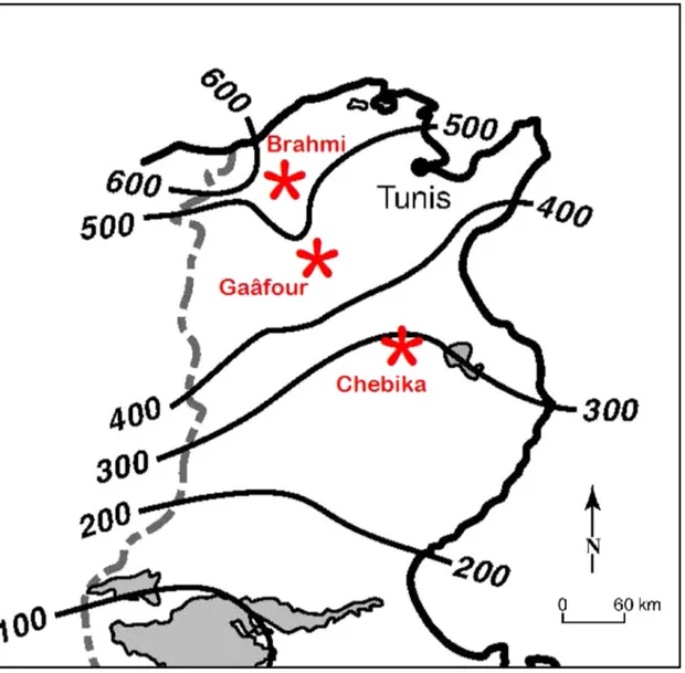 Fig. 1. Localisation des trois zones d’études en Tunisie (isohyètes d’après Benzarti, 2003 )