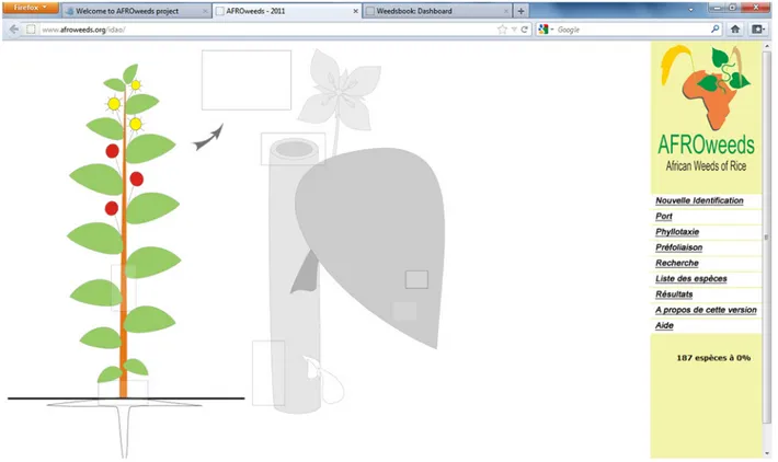 Fig. 1. Interface of the IDAO weed identiﬁcation tool AFROweeds.