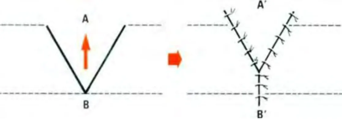 Figure 81 (117) EMC 