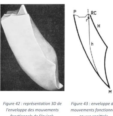 Figure 43 : enveloppe des  mouvements fonctionnels 