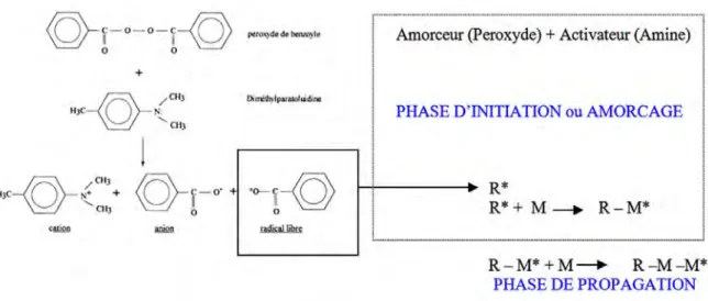 Figure 11 : Réaction de chémopolymérisation  