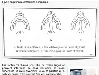 Figure	
  14	
  :	
  Exemple	
  d'illustration	
  présente	
  dans	
  notre	
   livret 