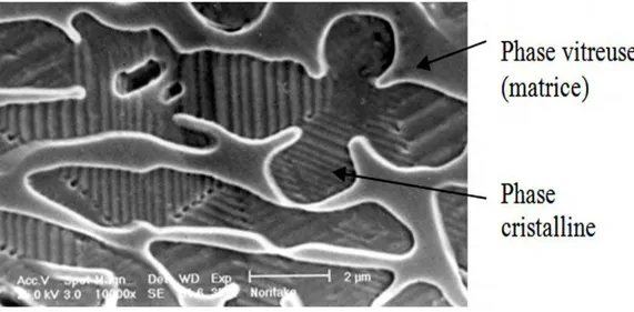 Figure 5 : Microphotographie en MEB d’une céramique selon Dejou (2009-2010)  Cette phase cristalline donne aux céramiques une résistance et une dureté bien supérieure à  celle des verres