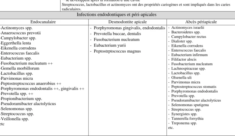 Tableau 6 : micro-organismes de la flore buccale commensale et pathogène. D’après (3,32) 