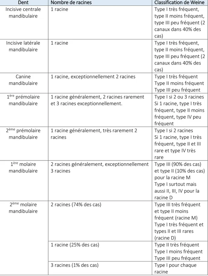 Tableau 4 : Anatomie canalaire et radiculaire des dents du maxillaire inférieur 