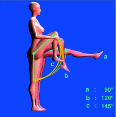 Fig. 4 : Mesure de la flexion de hanche à partir de la position anatomique de référence 