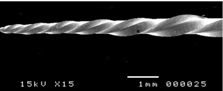 Fig. 17 – Image en microscopie électronique à balayage (× 15) d’un instrument 