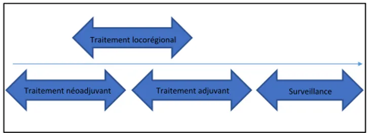 Figure 4: Les différentes séquences thérapeutiques lors d'un  traitement curatif d'un cancer [2] 