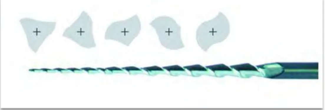 Figure : présentation schématique des différentes sections de l’instrument le long de sa partie  active