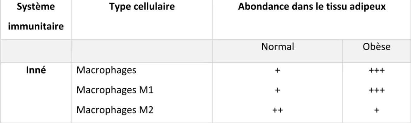 Tableau 1 : Proportion des macrophages selon le profil adipeux. 