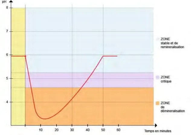 Figure 7 : Courbe de Stephan. 