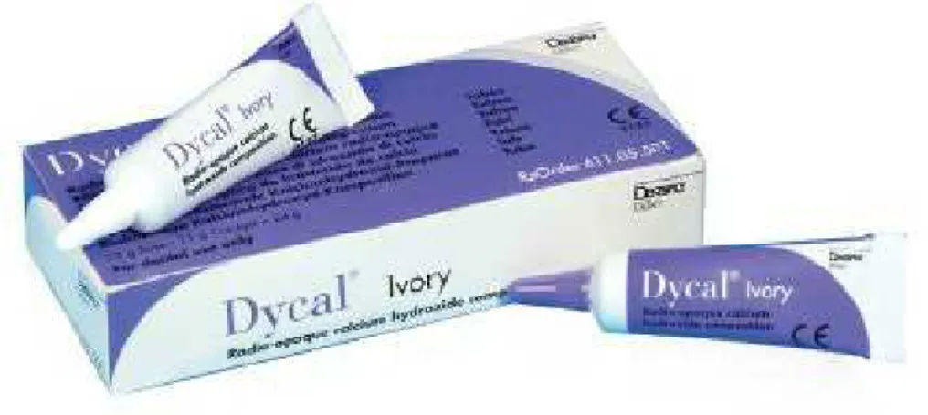 Figure 8 : Dycal® 