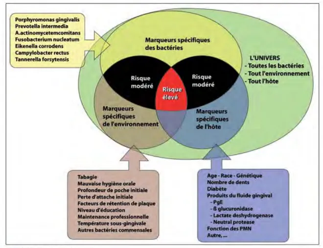 Figure	
  1	
  :	
  Le	
  modèle	
  infectieux	
  (3)	
  