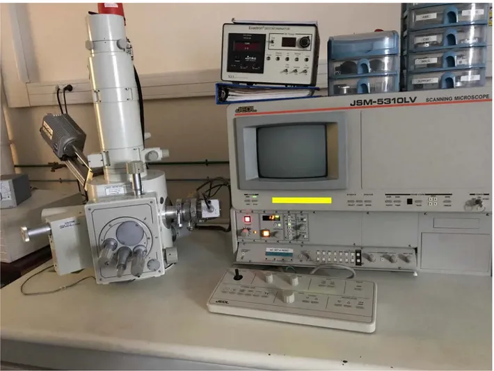 Figure 6 : Microscope Electronique à Balayage Low Vacuum 