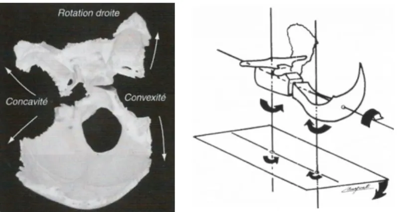 Figure 13 : Mouvement de la SSB 